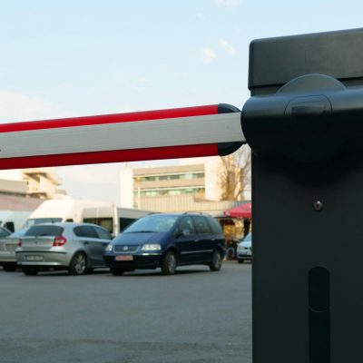 pexels-frentescuphotography-8696219